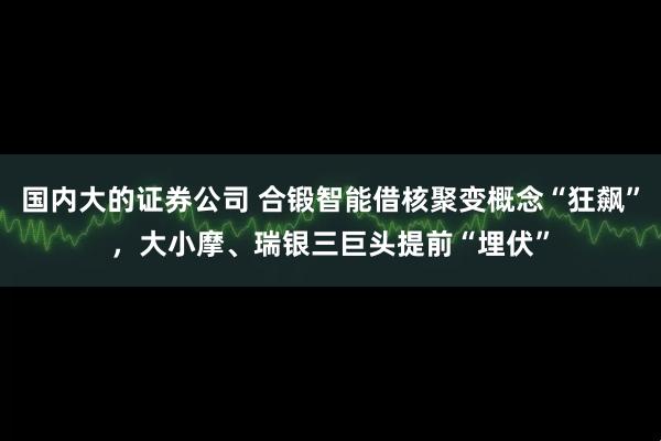 国内大的证券公司 合锻智能借核聚变概念“狂飙”，大小摩、瑞银三巨头提前“埋伏”