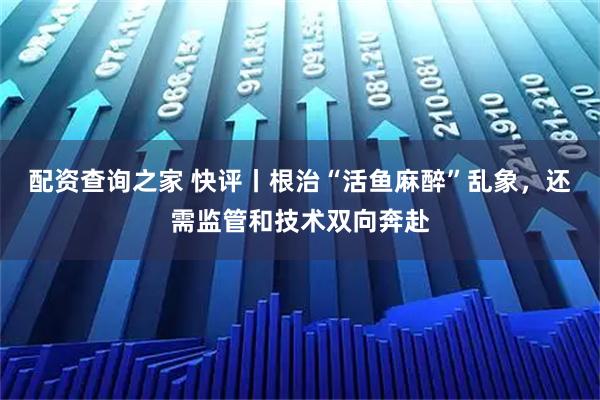 配资查询之家 快评丨根治“活鱼麻醉”乱象,还需监管和技术双向奔赴