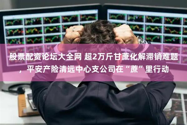 股票配资论坛大全网 超2万斤甘蔗化解滞销难题，平安产险清远中心支公司在“蔗”里行动